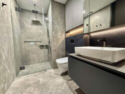 Irwell Hill Residences (D9), Apartment #636961881